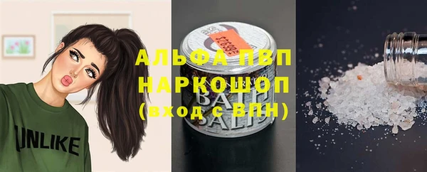 spice Богородск