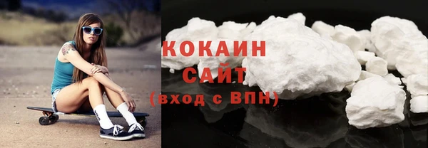 spice Богородск