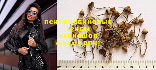 2c-b Богородицк
