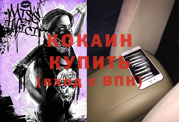 spice Богородск