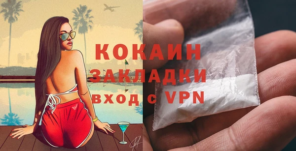 2c-b Богородицк