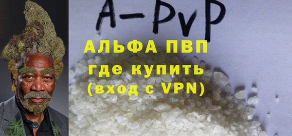 spice Богородск