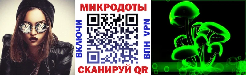Галлюциногенные грибы Cubensis сколько стоит Кировск